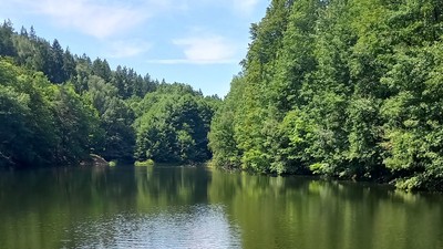 20260815_Dorfhain 03a.jpg