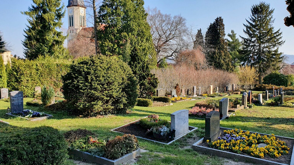 Friedhof-5-web-1536x864